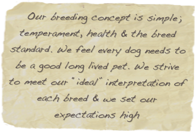    Our breeding concept is simple; temperament, health & the breed standard. We feel every dog needs to be a good long lived pet. We strive to meet our “ideal” interpretation of each breed & we set our expectations high